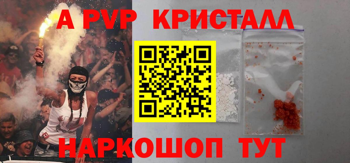A PVP СК КРИС Обь