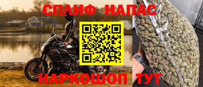 эйфоретик Славгород